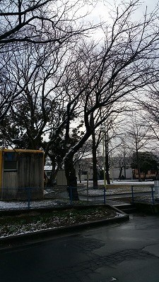 20170210_084433.jpg
