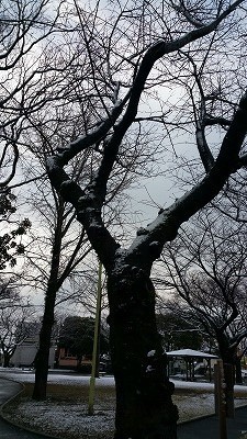 20170210_084448.jpg