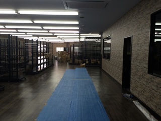 2015-09-26 10.18.55.jpg