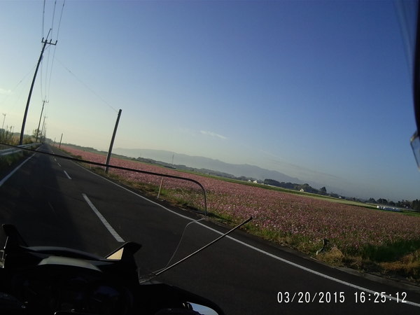 S10C0064.JPG